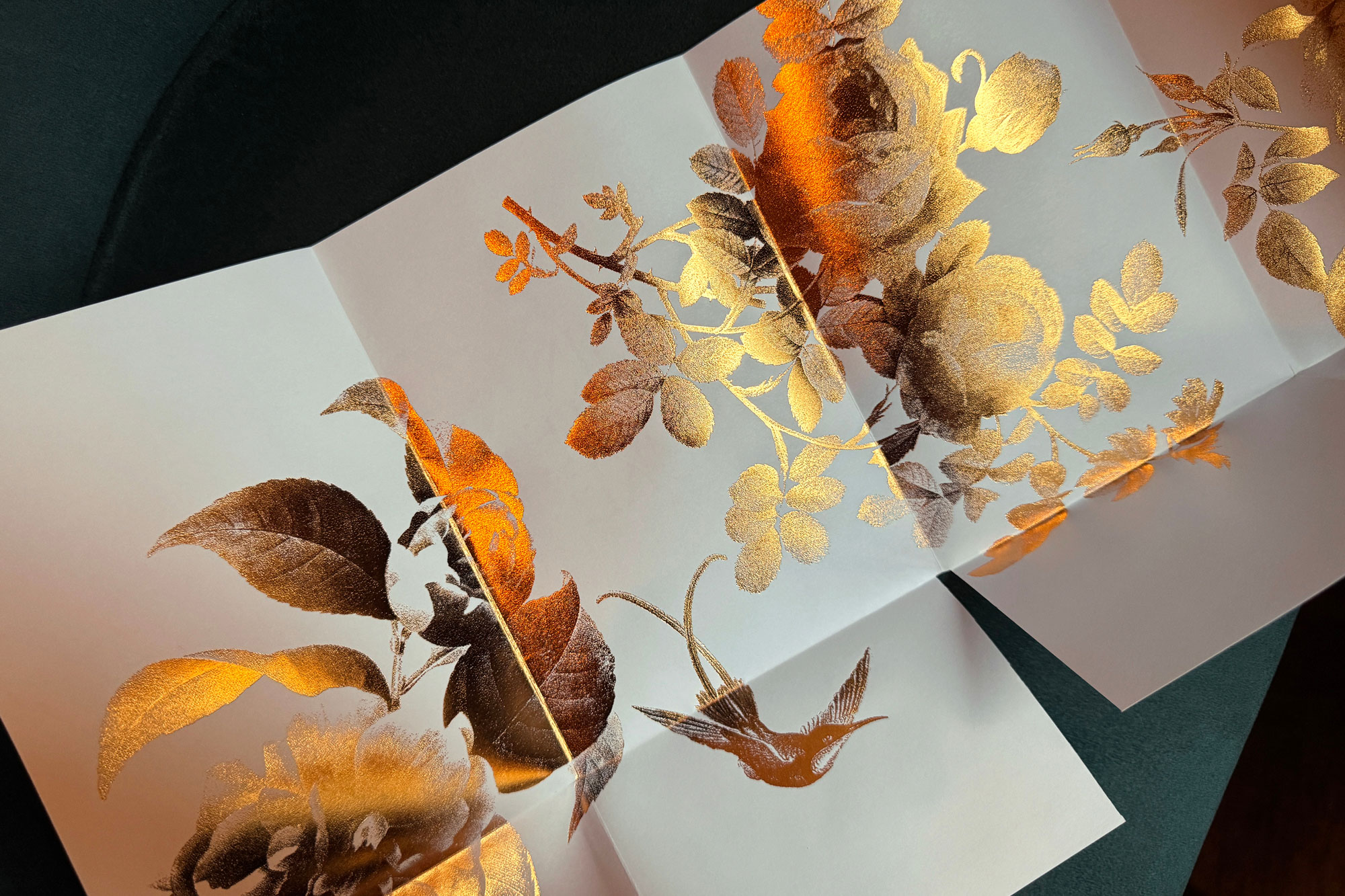 The Thin White Duke – Studio AS-CC